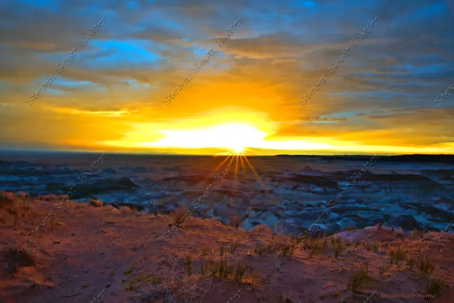 corona-magnifico-1-vibrant-wm.webp