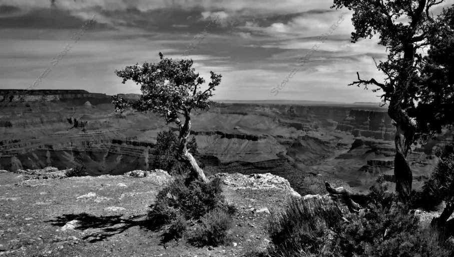 grand-canyon-vista-6-b-and-w-wm.webp