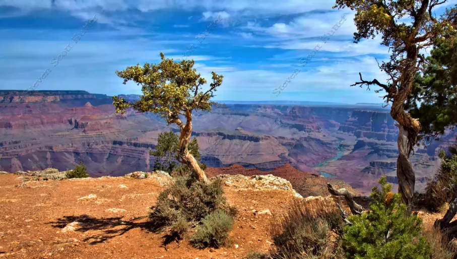 grand-canyon-vista-6-wm.webp