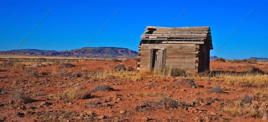 old-homestead-5-vibrant-wm.webp