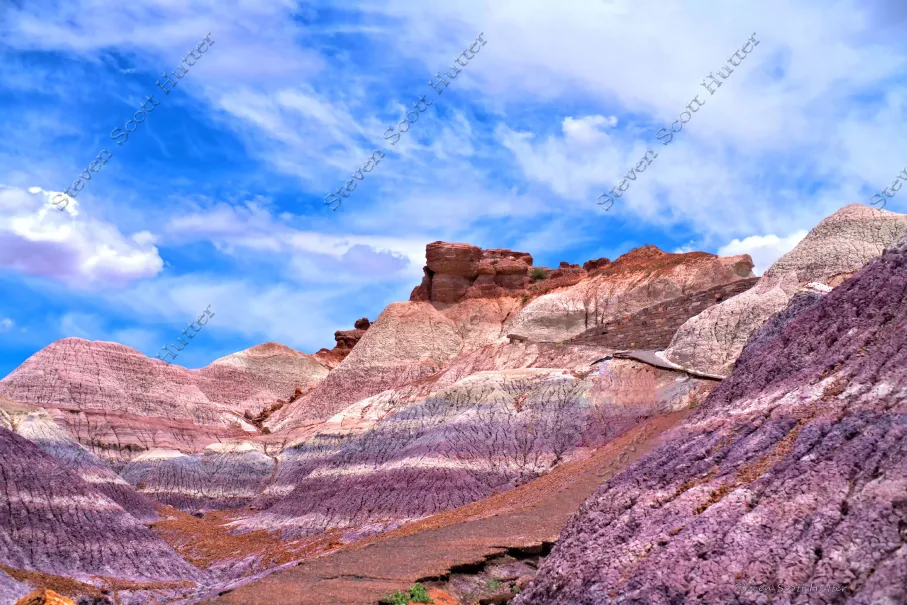 painted-desert-palette-6-hi-contrast-wm.webp