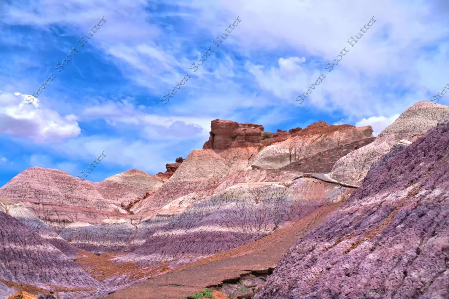painted-desert-palette-6-wm.webp