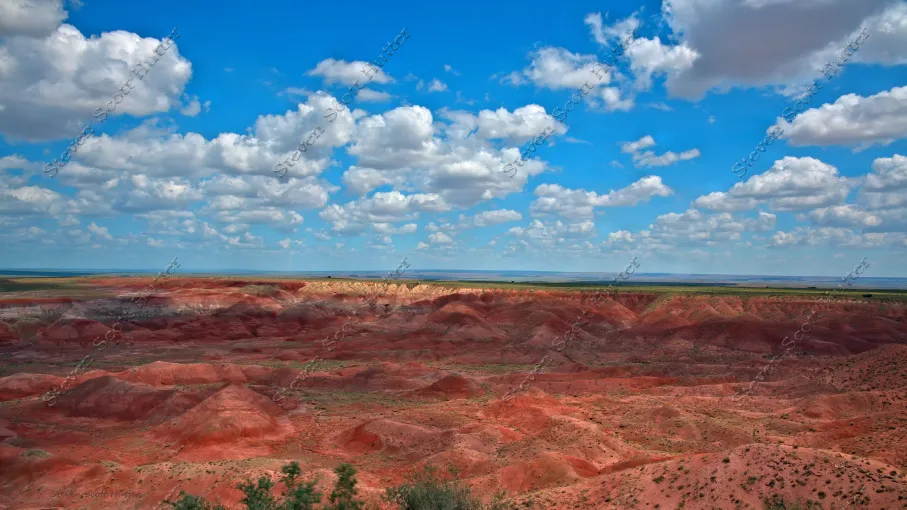 painted-desert-vista-20-wm.webp