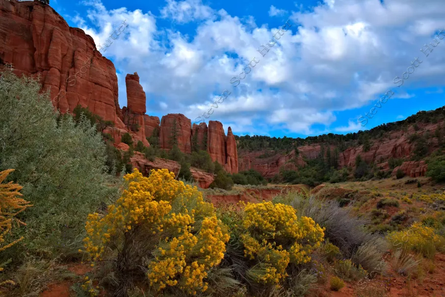 sentinels-grotto-1-wm.webp