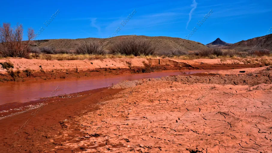 spring-creek-1-vibrant-wm.webp