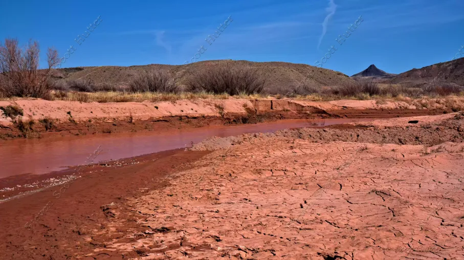 spring-creek-1-wm.webp