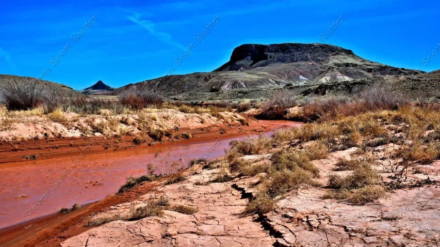 spring-creek-2-vibrant-wm.webp