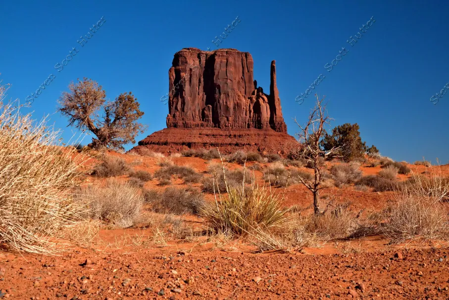 the-mitten-1-wm.webp
