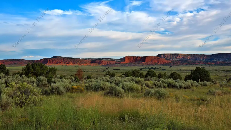 wingate-prairie-2-vibrant-wm.webp